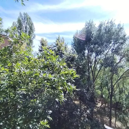 Apartmán Lola Ruza *