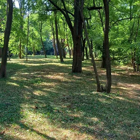 Lola Ruza * Zrenjanin