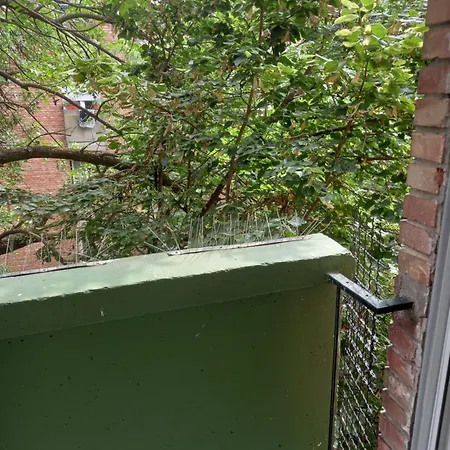 Lola Ruza Apartmán Zrenjanin