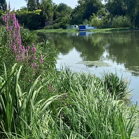 Apartmán Lola Ruza Zrenjanin